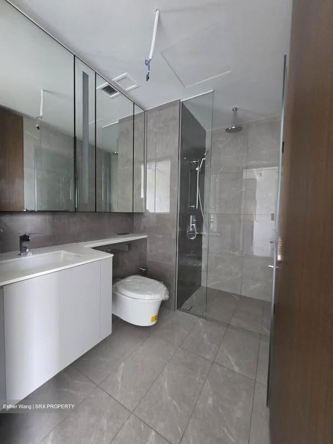 Dunman Road (D15), Condominium #612376891